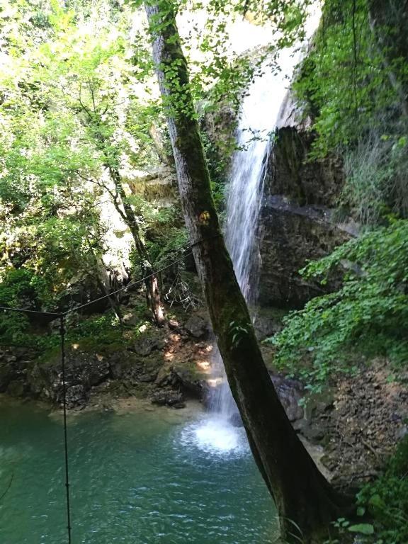 Villa Rustica Buje Dış mekan fotoğraf