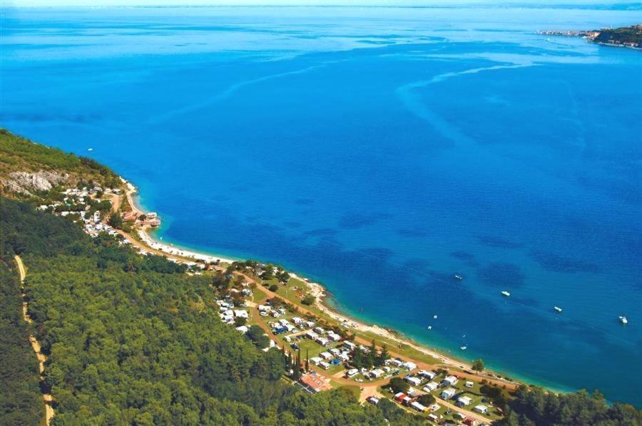 Villa Rustica Buje Dış mekan fotoğraf
