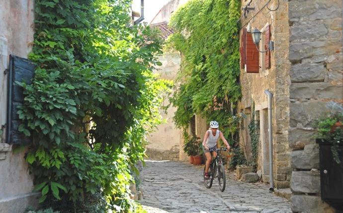 Villa Rustica Buje Dış mekan fotoğraf